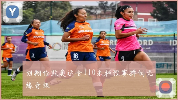 刘翔伦敦奥运会110米栏预赛摔倒无缘晋级