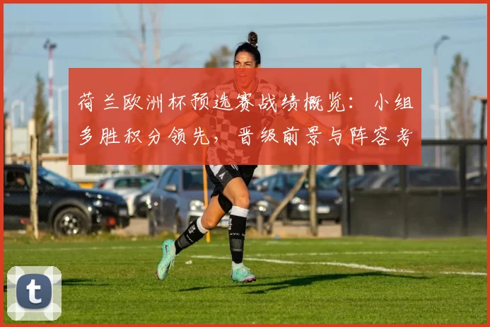 荷兰欧洲杯预选赛战绩概览：小组多胜积分领先，晋级前景与阵容考量