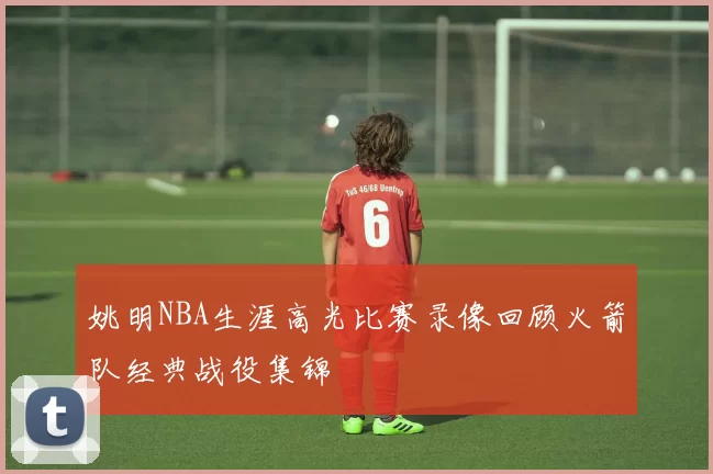 姚明NBA生涯高光比赛录像回顾火箭队经典战役集锦