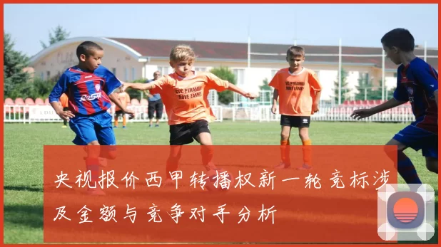 央视报价西甲转播权新一轮竞标涉及金额与竞争对手分析