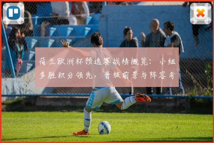 荷兰欧洲杯预选赛战绩概览：小组多胜积分领先，晋级前景与阵容考量